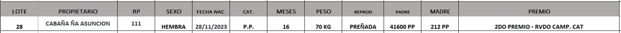 Lote LOTE 28