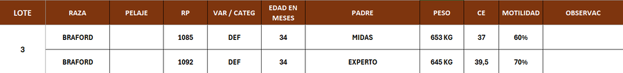 Lote LOTE 3