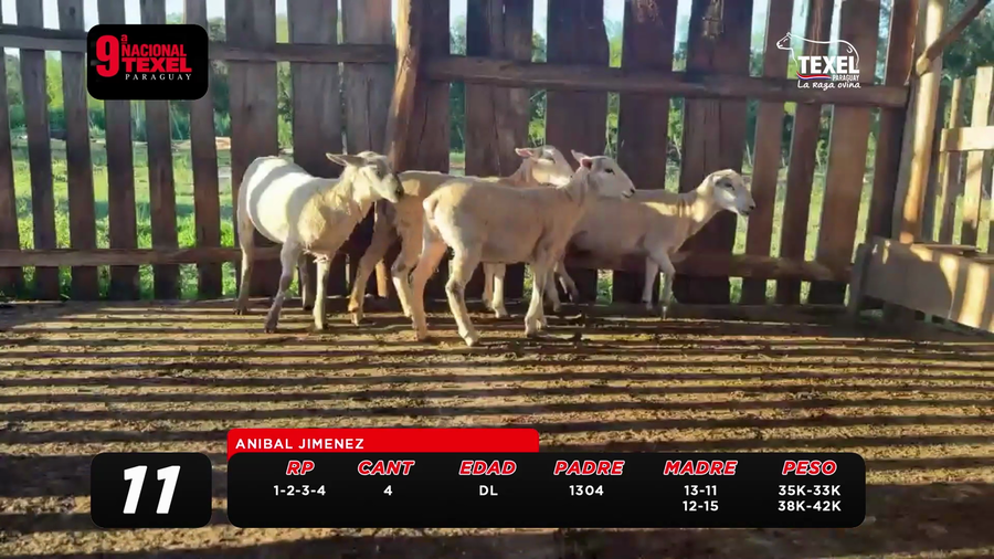 Lote LOTE 11- POR PANTALLA