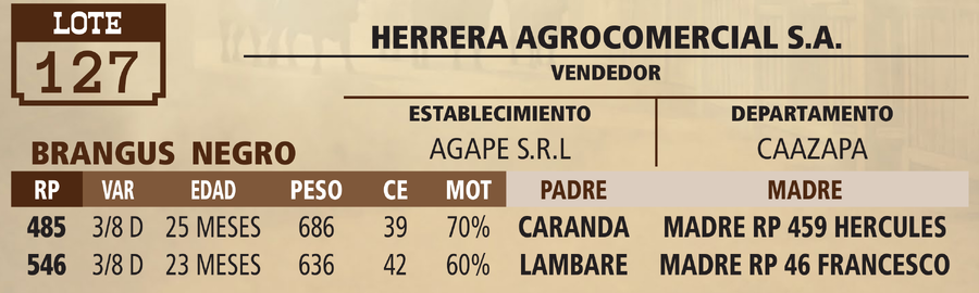 Lote LOTE 127 - VIVO