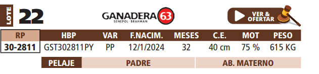 Lote LOTE 22