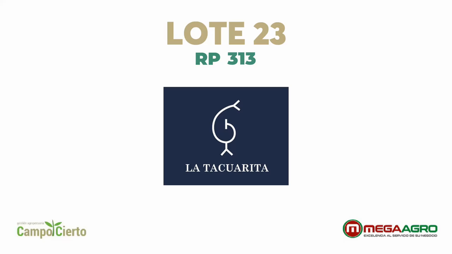 Lote LA TACUARITA