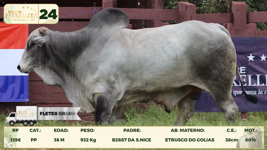 Lote LOTE 24