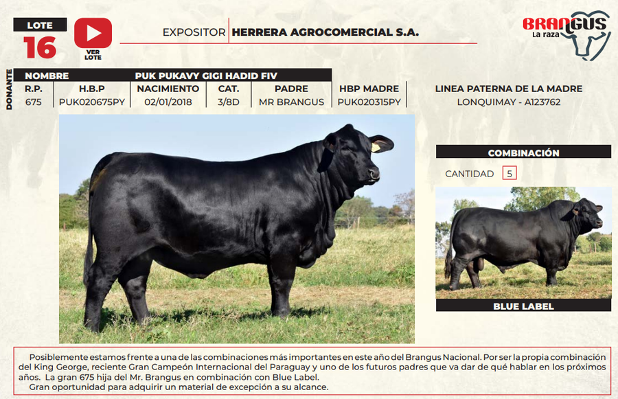 Lote LOTE 16