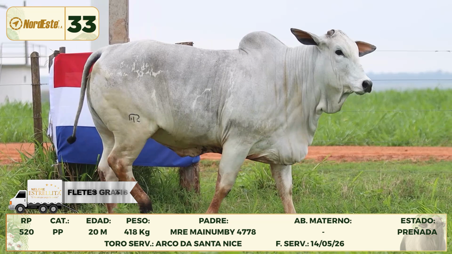 Lote LOTE 33