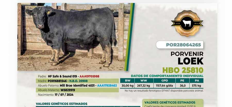 Lote 1 Toro LOEK DIIO 4265