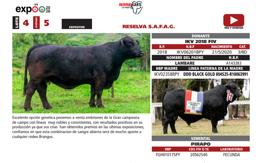 Lote LOTE 4
