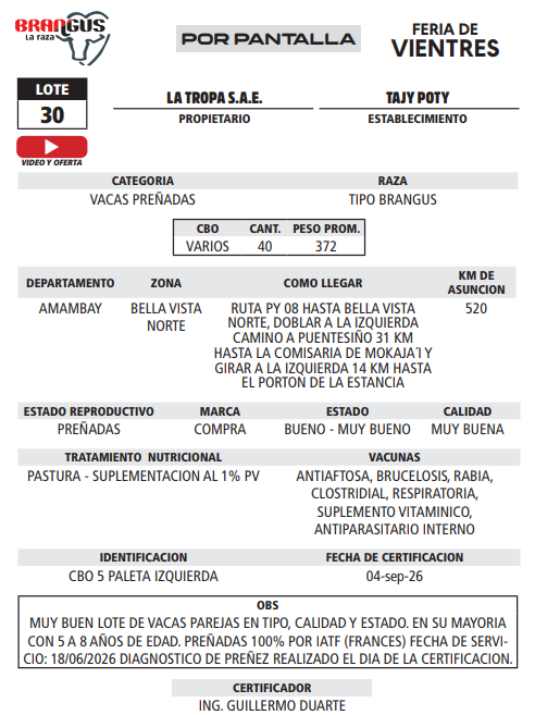 Lote LOTE 30 - POR PANTALLA