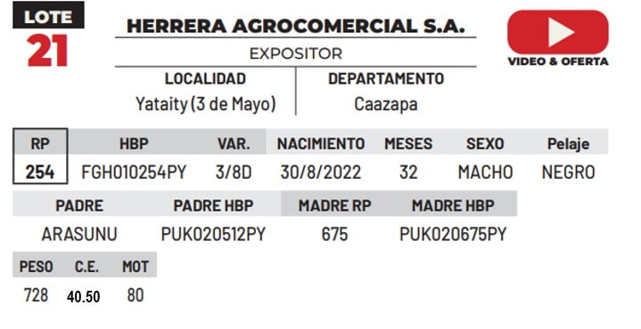 Lote LOTE 21