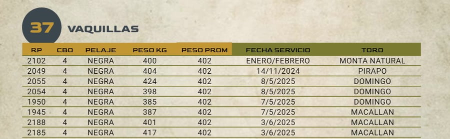 Lote LOTE 37