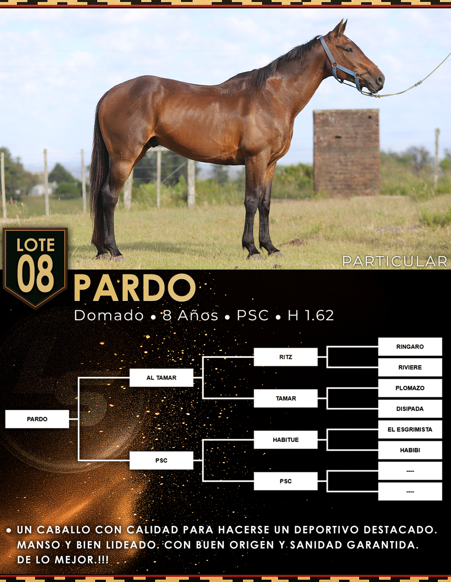 Lote PARDO