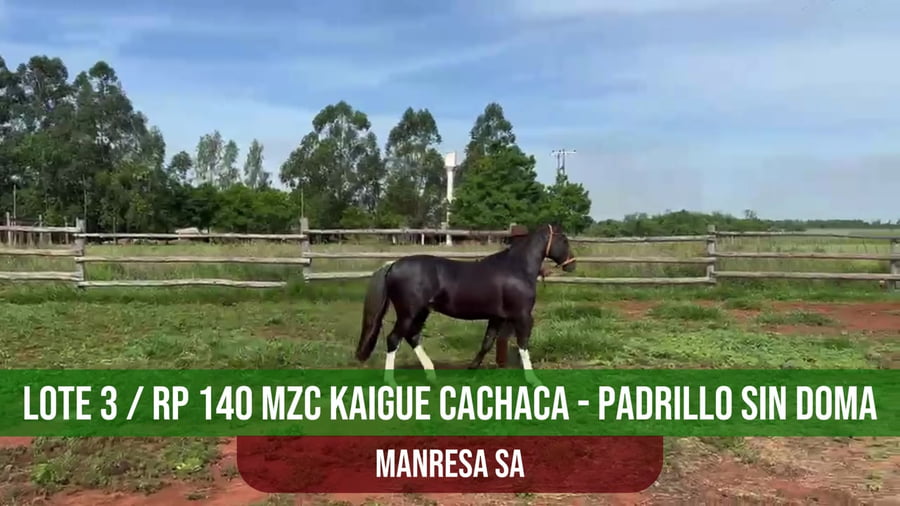 Lote MZC KAIGUE CACHACA