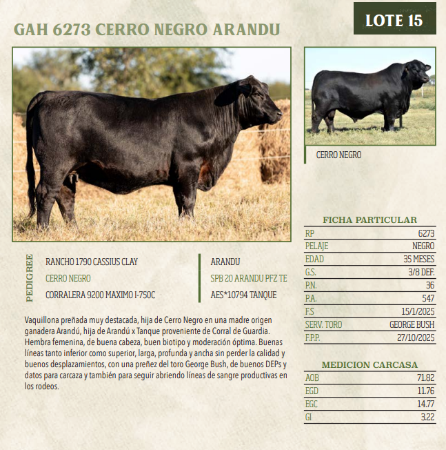 Lote LOTE 15