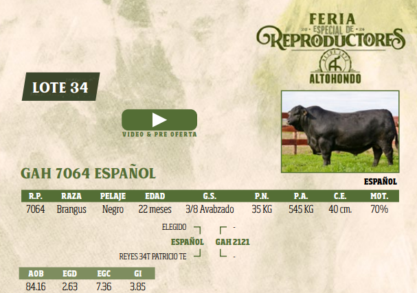 Lote LOTE 34