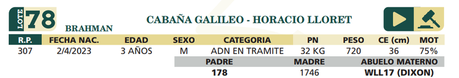 Lote LOTE 78