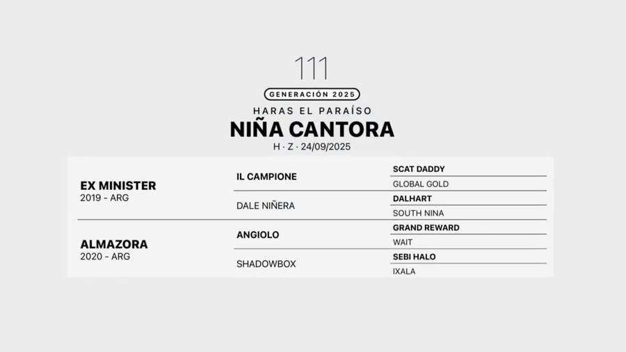 Lote NIÑA CANTORA