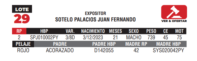 Lote LOTE 29 - CAMPO