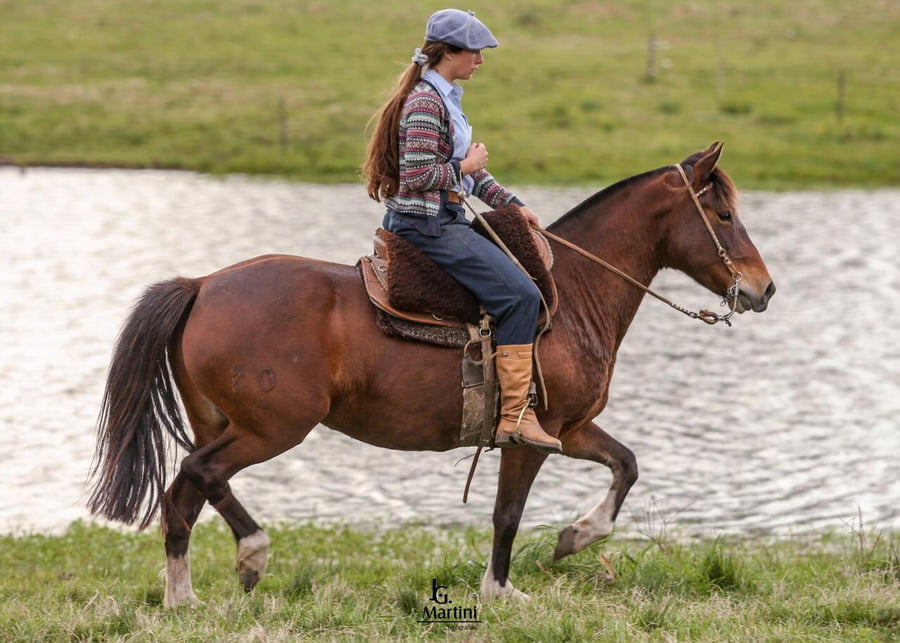 Lote De la Laguna Relincho