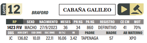 Lote LOTE 12