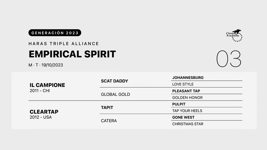 Lote EMPIRICAL SPIRIT
