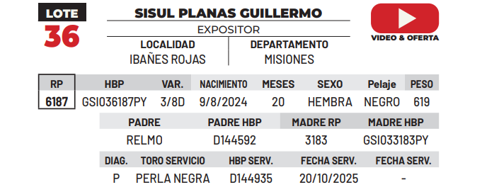 Lote LOTE 36 -DE CAMPO