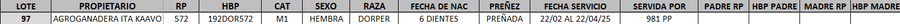 Lote LOTE 97