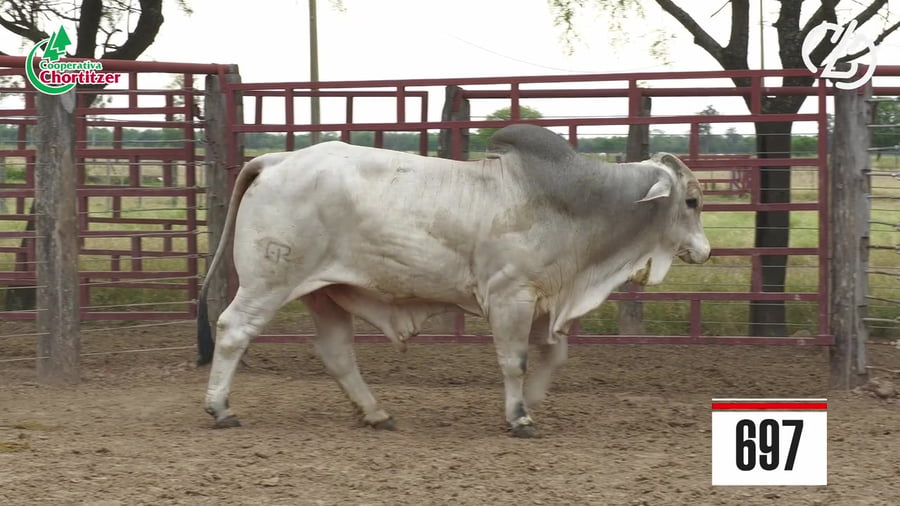 Lote Brahman