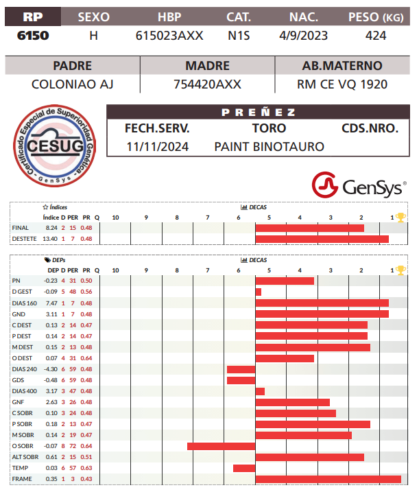 Lote LOTE 10