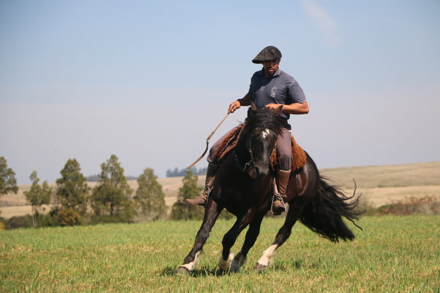 Lote TIZON DEL CONVENTOS