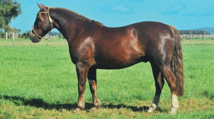 Lote CAÑADA KILOMBO