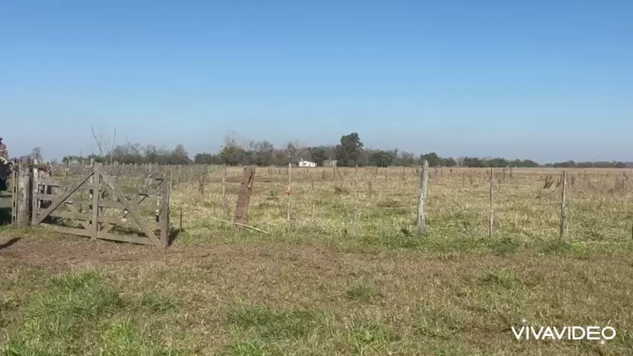 Lote 74 AL CTE (VAQ)