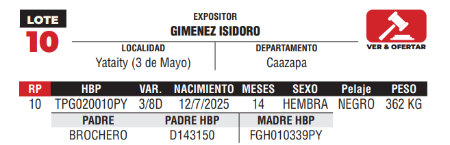 Lote LOTE 10 -JUNIOR
