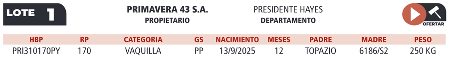 Lote LOTE 1