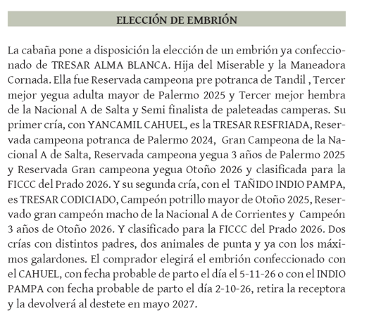 Lote TRES AR ALMA BLANCA