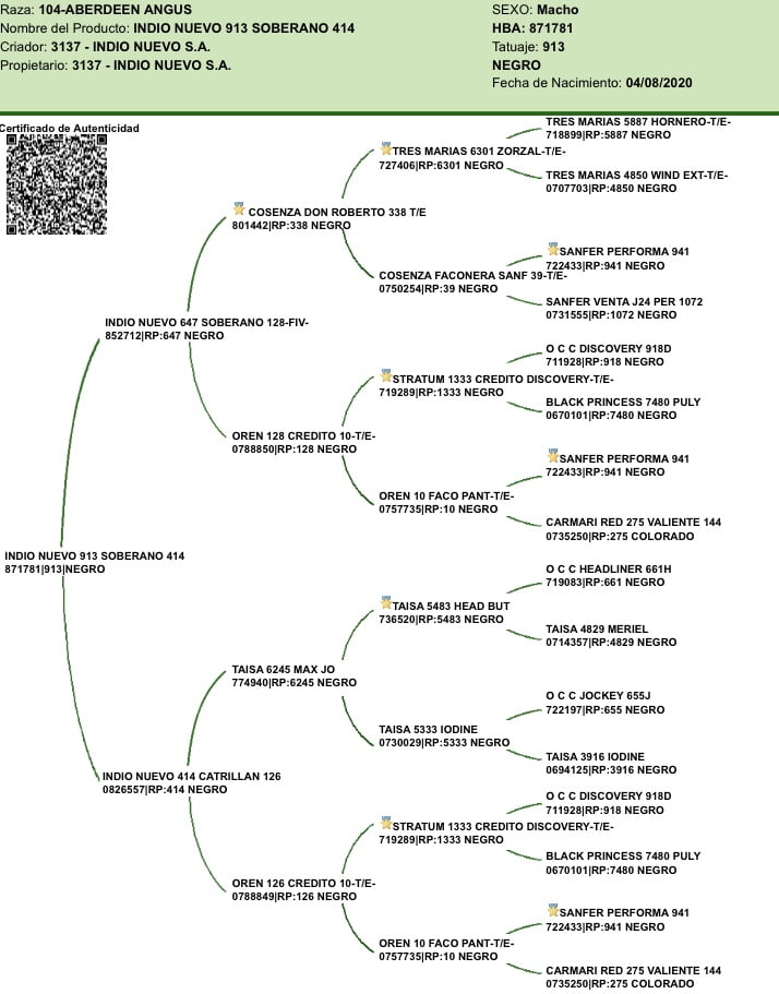Lote "Toros ""SANTA ROSA"""