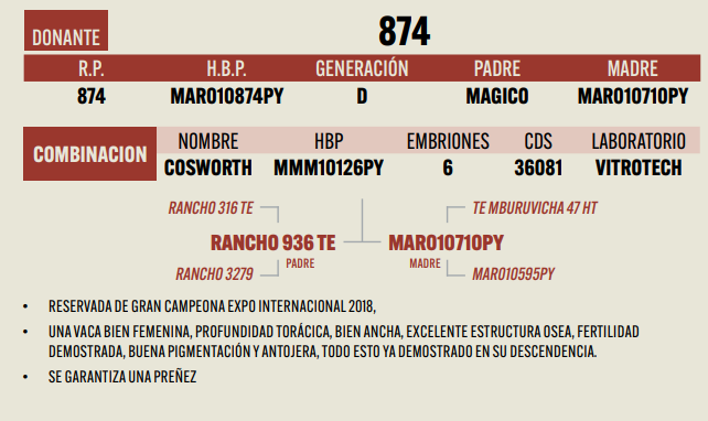 Lote LOTE 4