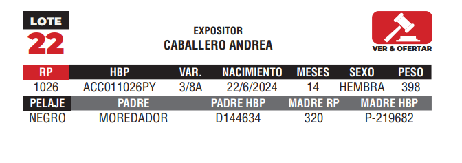 Lote LOTE 22 - JUNIOR