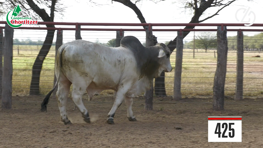 Lote Brahman