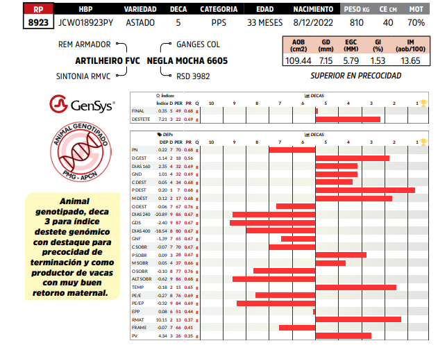 Lote LOTE 56