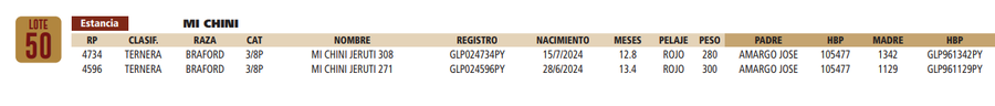 Lote LOTE 50