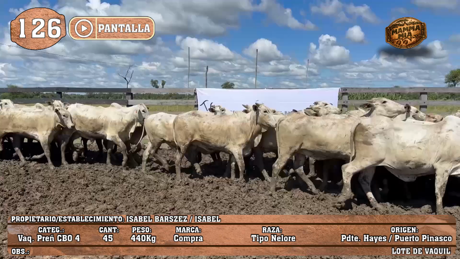 Lote LOTE 126 - PANTALLA