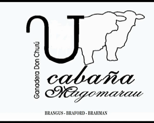 Lote CABAÑA "MAGOMARAU" RP1083