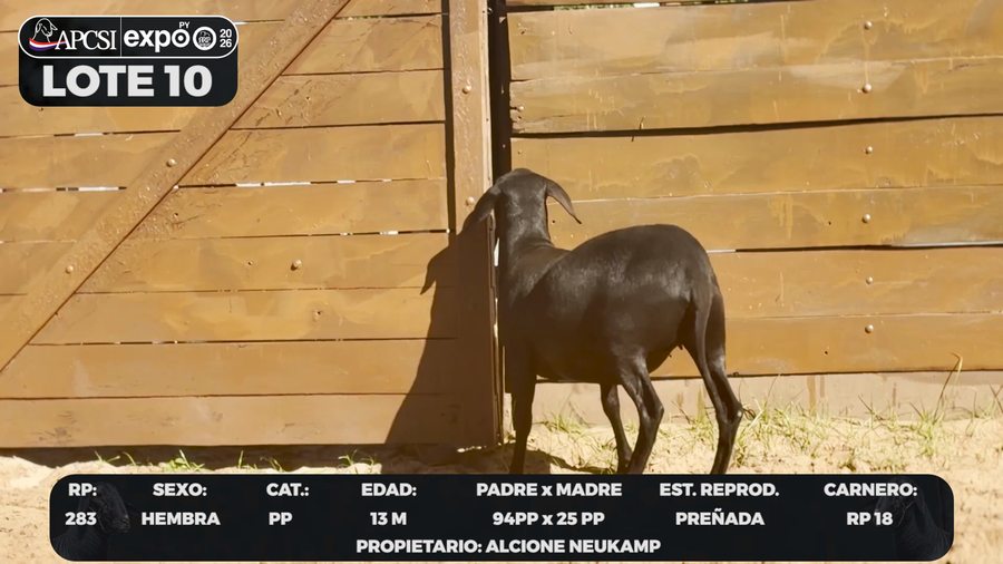 Lote LOTE 10 - CAMPO
