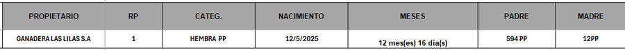 Lote LOTE 23