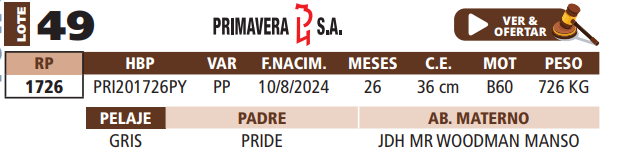 Lote LOTE 49