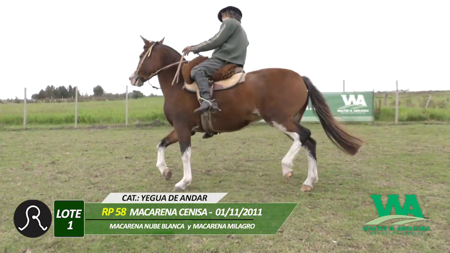 Lote NACAREBA CENISA