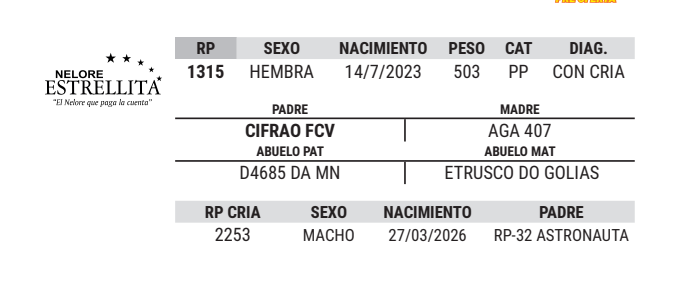 Lote LOTE 9