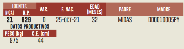 Imagen 2 del Lote Lote LOTE 19