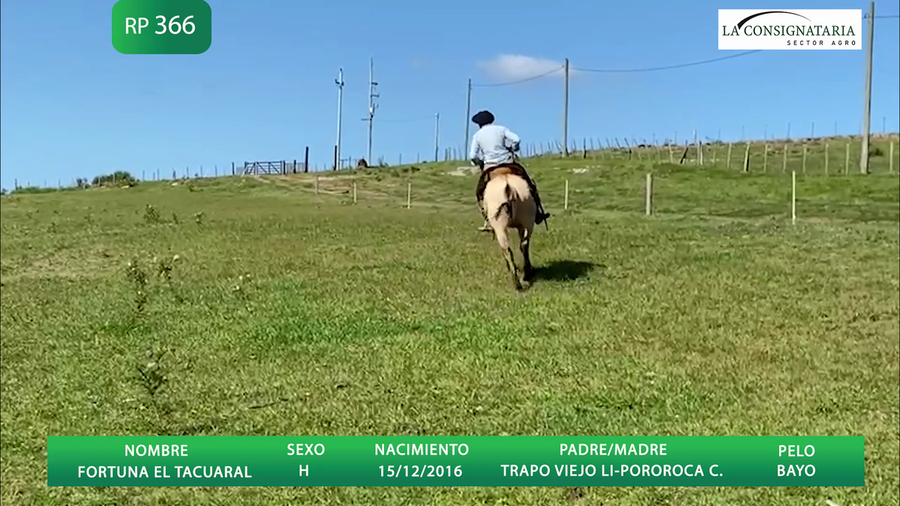 Lote FORTUNA EL TACUARAL