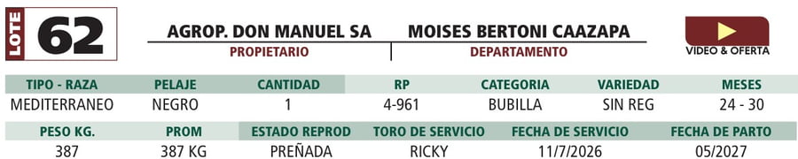 Lote LOTE 62